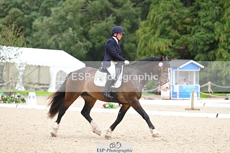 230813-140455-07671 - Cls 13 Medium Bronze 13.15 to End