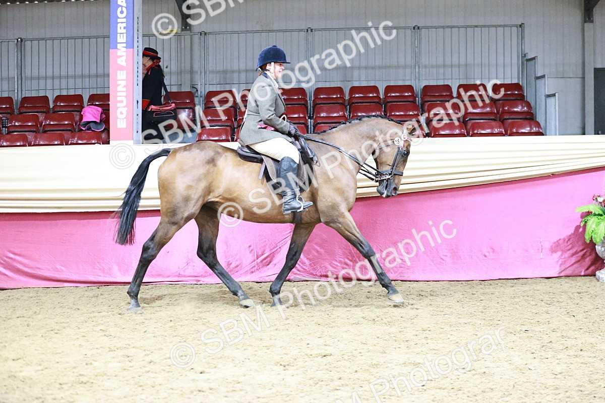 SBM_07308 - Class 10R - Regional Ridden Diamond