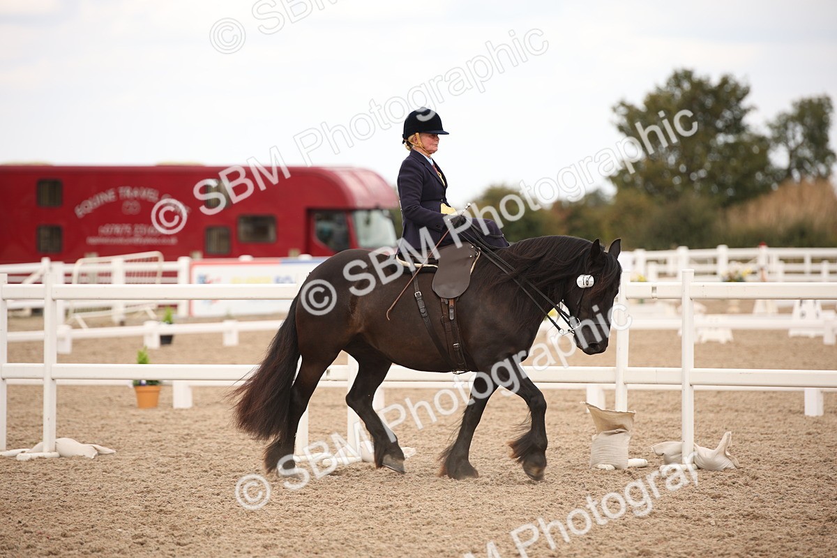 SBM_05324 - Class 22 SSA Equitation