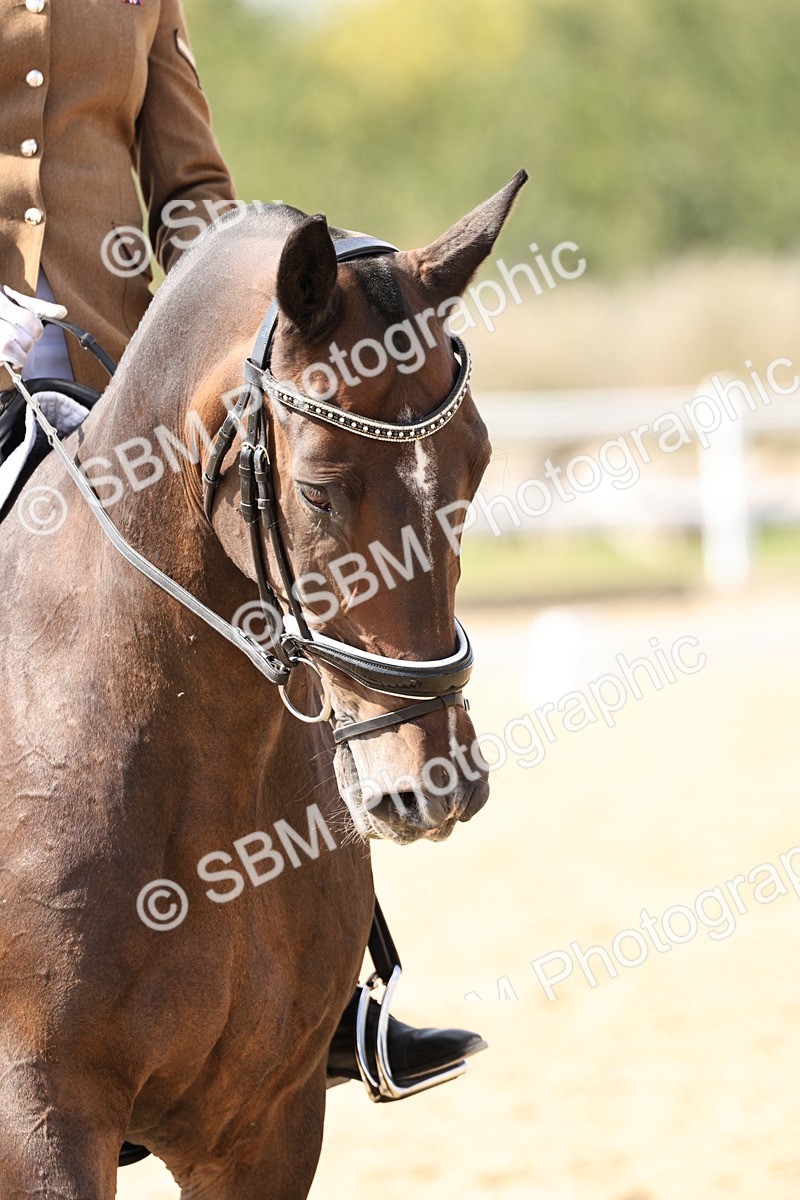 SBM_014899 - Class 7 - Medium 3