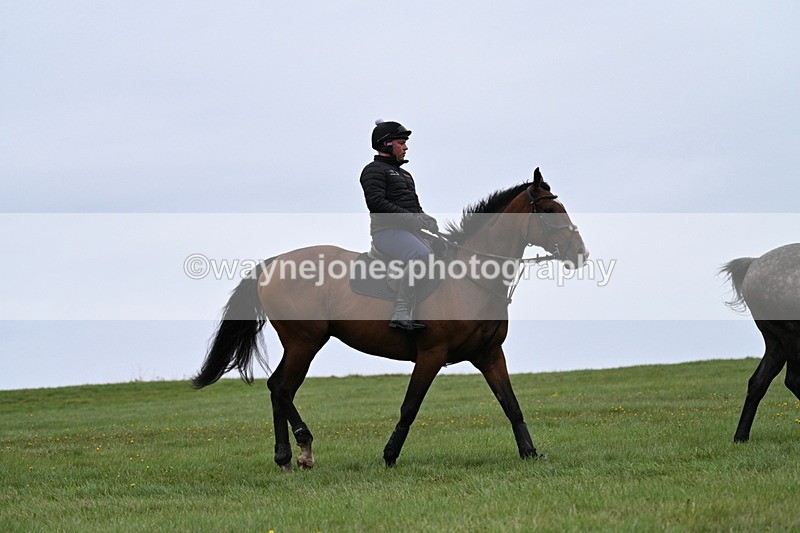 WJ7_8488 - Time 12:22 to 12:55