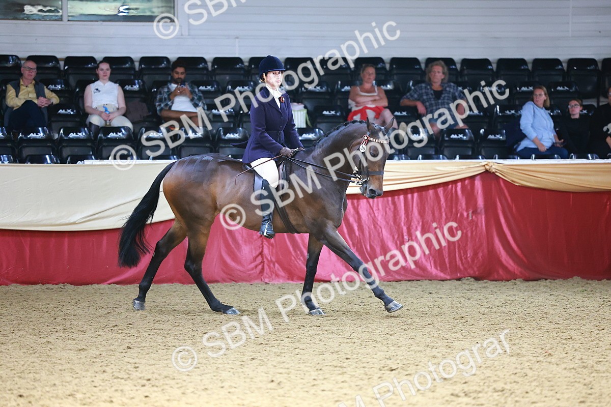 SBM_24062 - Class 905 - Supreme Final - Ridden Veteran