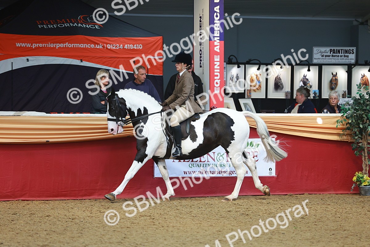 SBM_10595 - Class 103 - HOYS Veteran Qualifier - Ridden Pre Vet