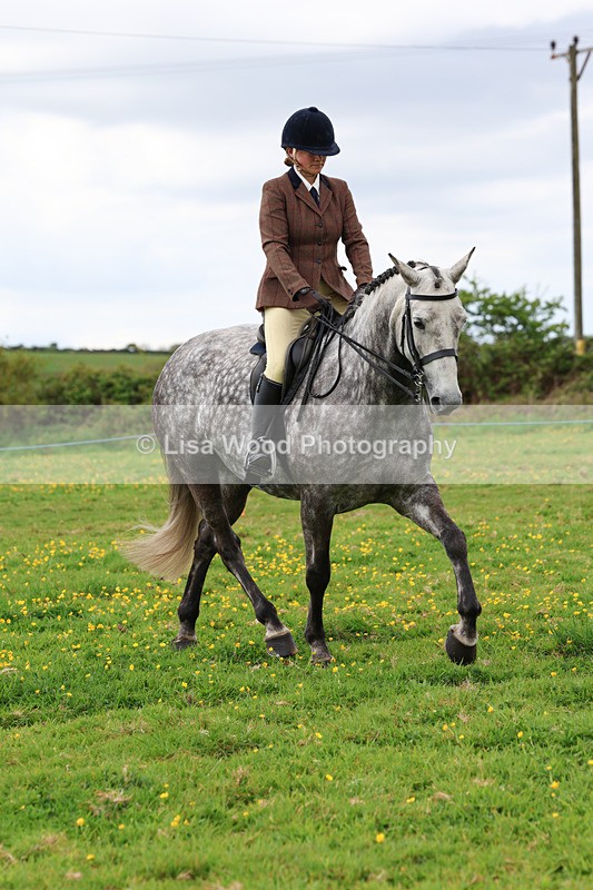 3E7A1279 - Class 7: Ridden Hunter Type