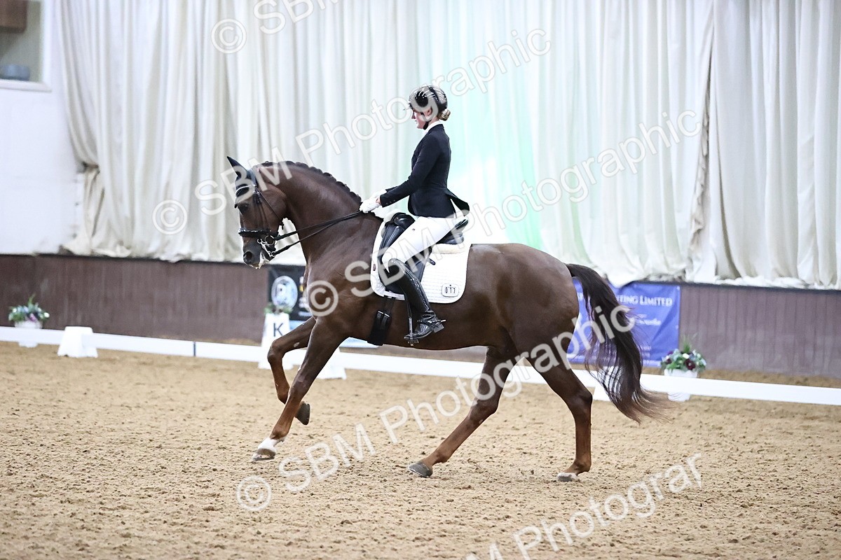 SBM_008993 - Class 15 - FEI Junior Pony Team-YR-COH