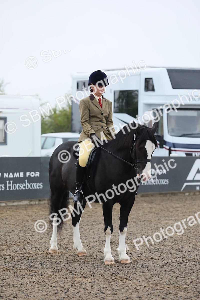 SBM_19949 - Class 801 - Ridden Veteran