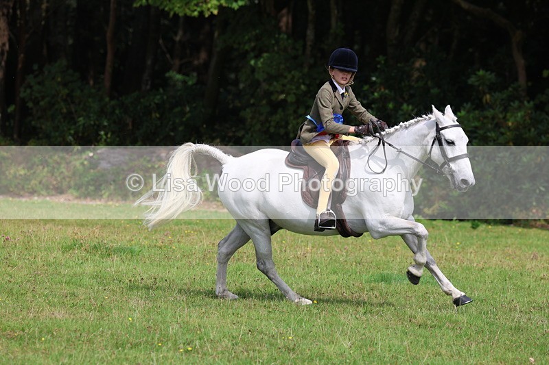 3E7A6097 - Working Hunter Championship