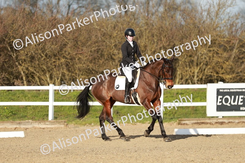 20260314-6252 - CT7 - Elementary 2