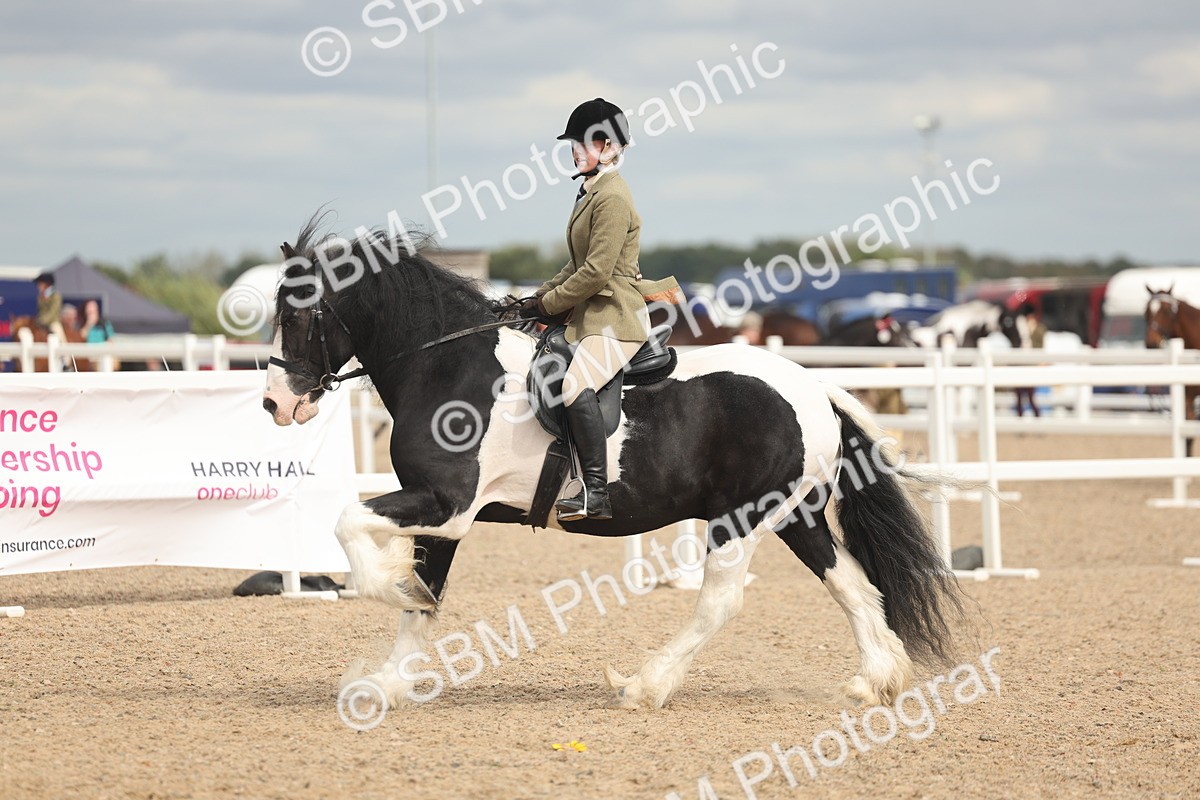 SBM_18023 - Class 314 - Family Horse Pony