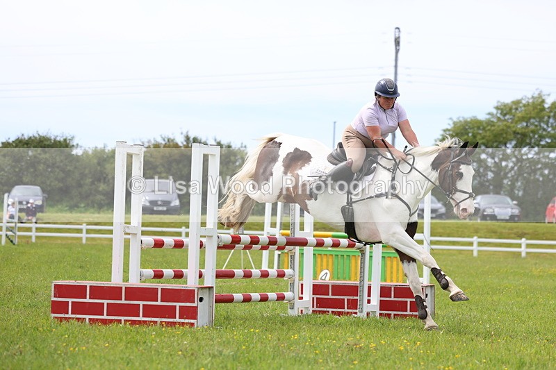 3E7A1839 - Class 13: Senior British Novice/90cm open