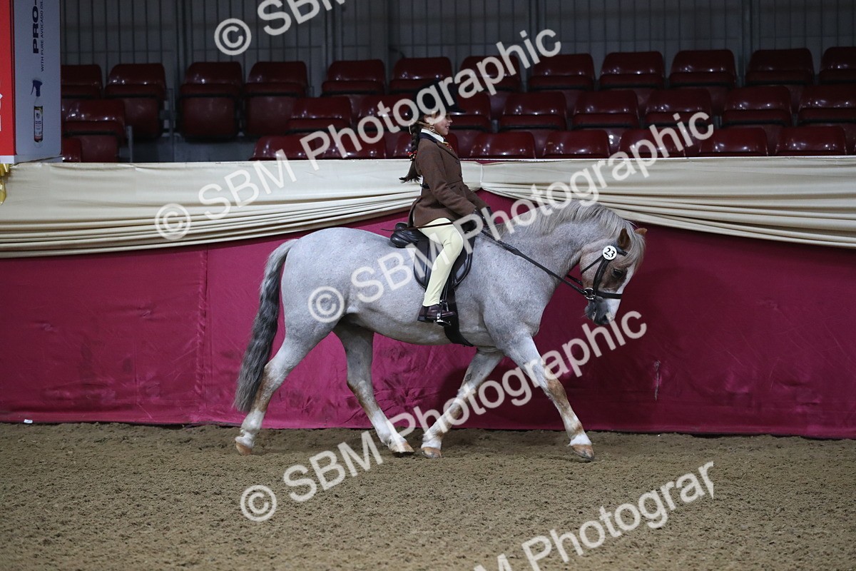 SBM_09254 - Class 101 Equitation (best rider), Junior
