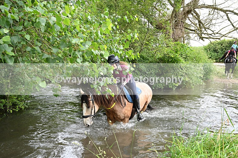 WJ7_2034 - Camera 2 Water Crossing