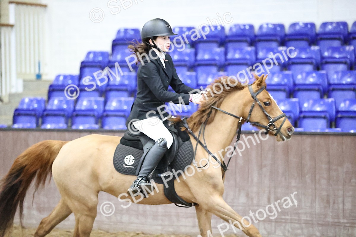 SBM_000325 - Class 2 - Pony British Novice - 80cm