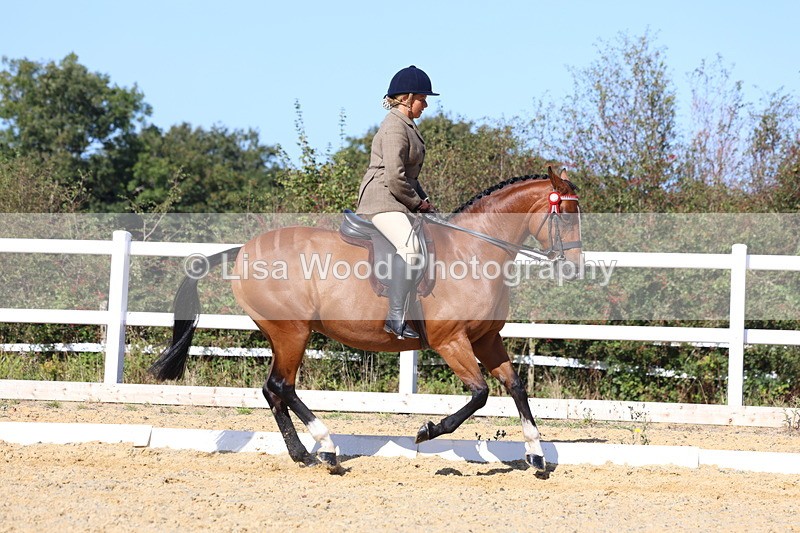 3E7A5718 - Class 10: Riding Horse