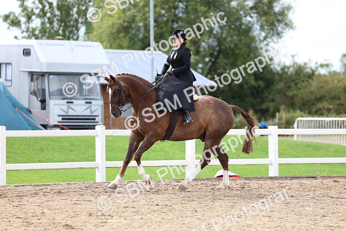 SBM_03423 - Class 24 - SSA Concours d'elegance (any age)