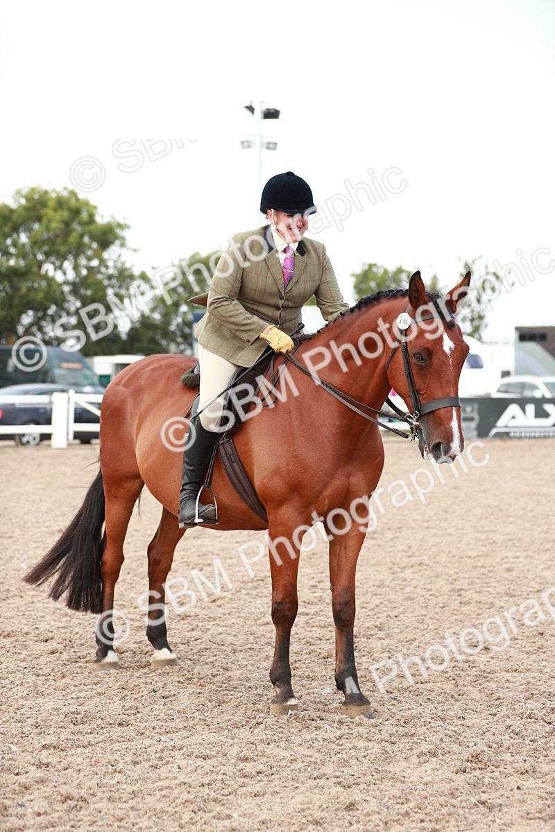 SBM_15510 - Class 213 Ridden Hunter -Large