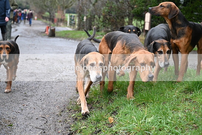 WJ7_9376 - Walk out..