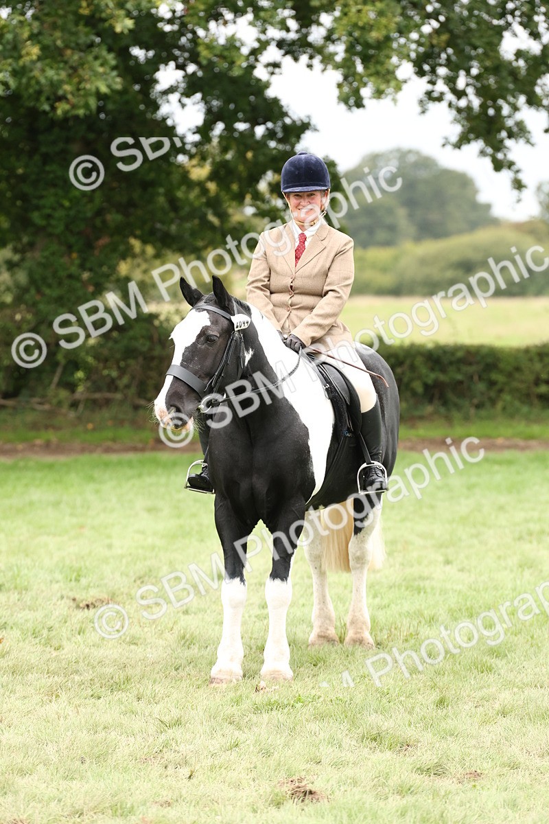 SBM_67298 - S67 - Piebald & Skewbald Horse Ridden
