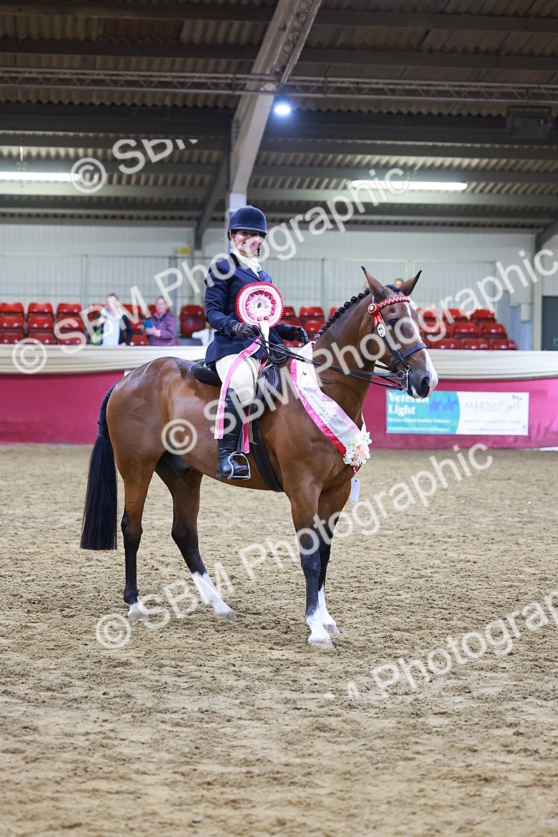 SBM_15568 - Class R - Veteran Champ