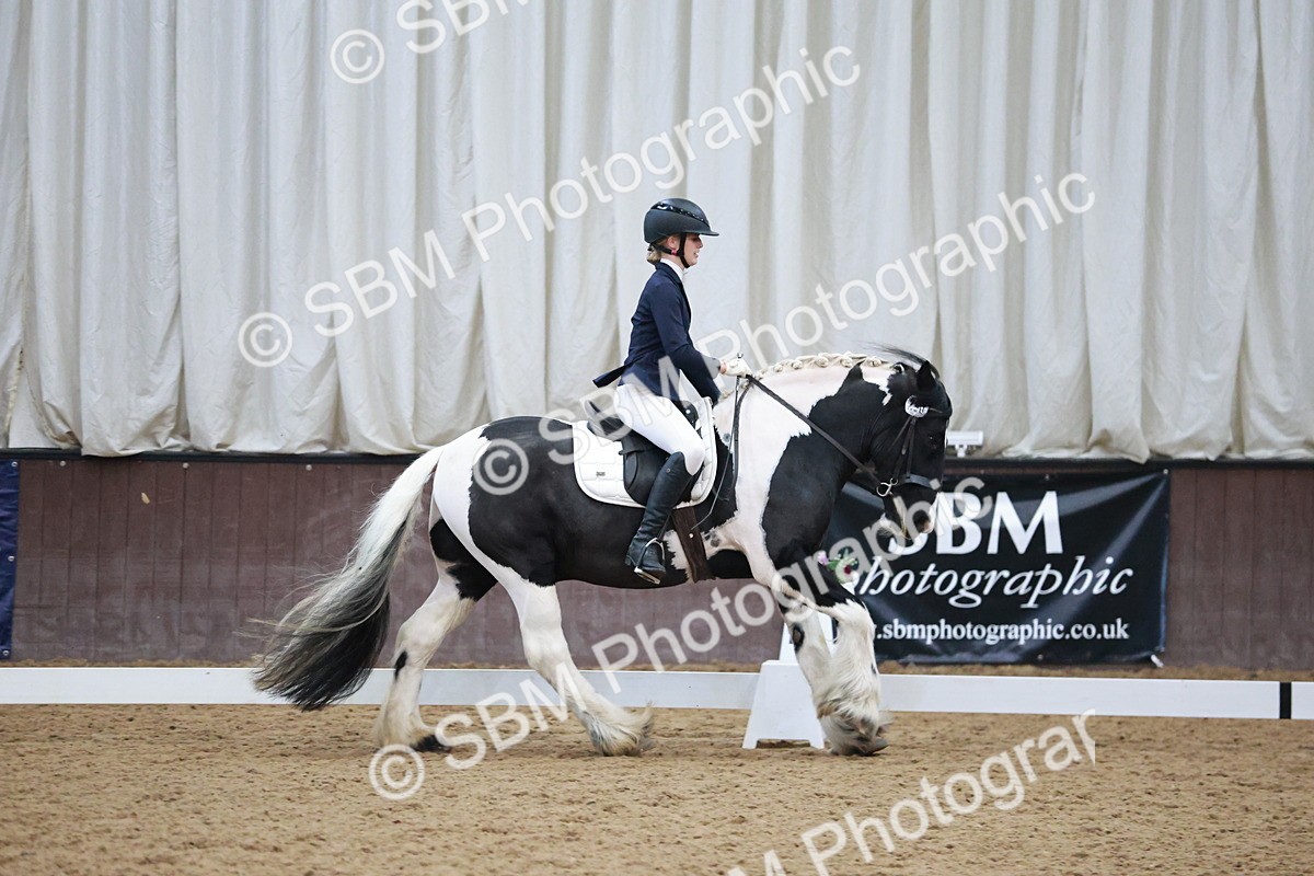 SBM_004565 - Ring 3 - International -  Working Hunter Classes 23-2-25