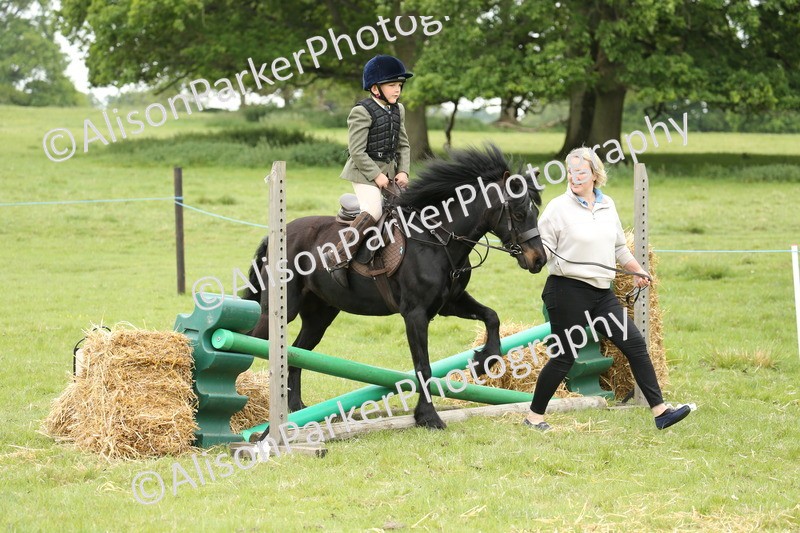 20250517-0465 - Class 20 - Beginners Working Hunter