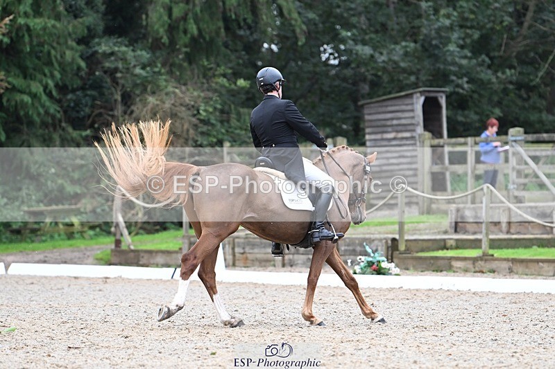 231019-145908-04330 - 059-MINNIE.MANOEUVREZ-Mark.Ford-DR