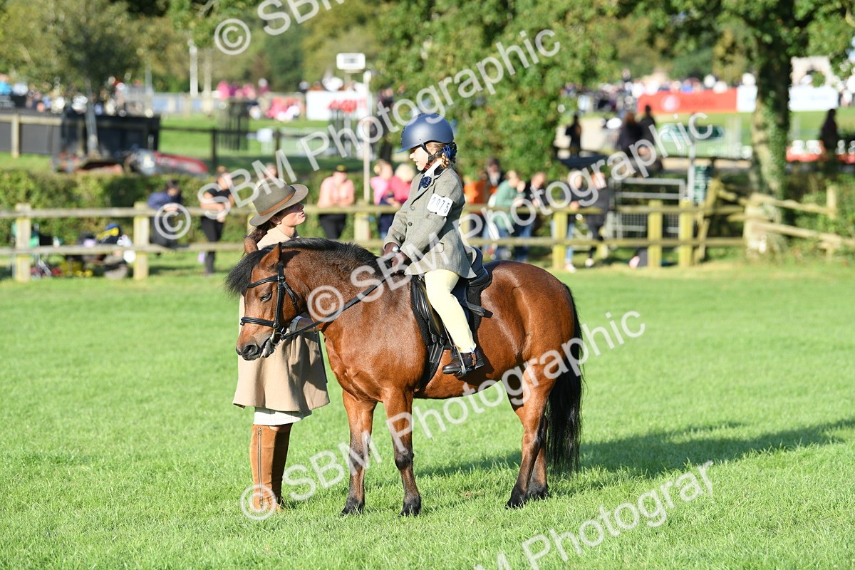 SBM_54103 - S23 - 1st Ridden Mountain & Moorland Pony