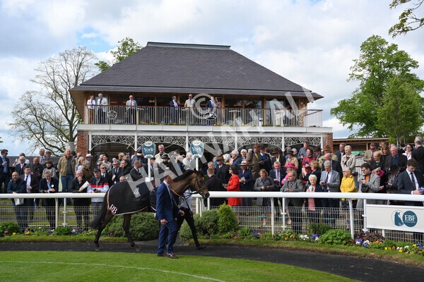 yr11052022r4-1 - Race 4 3.35pm Tattersalls Musidora Stakes