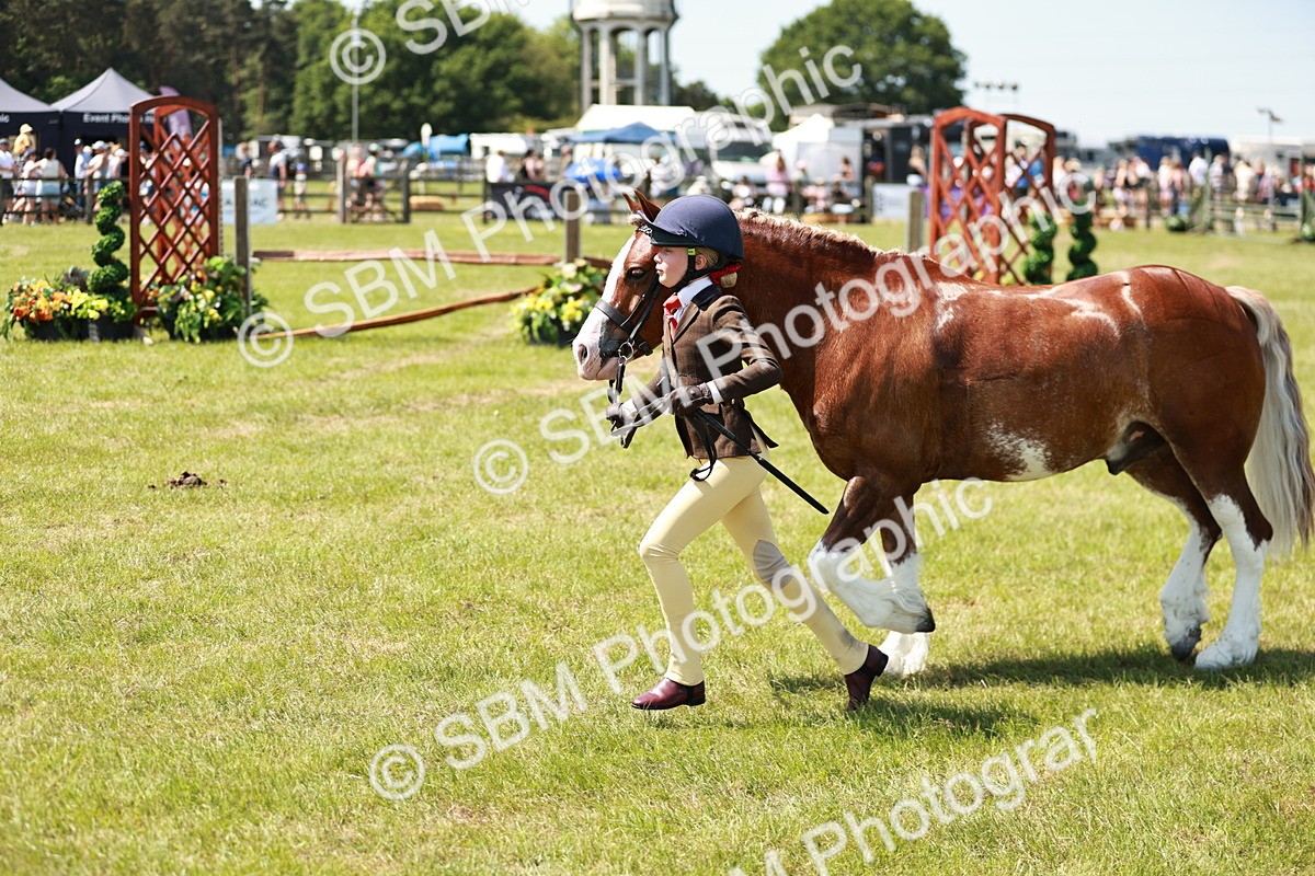 SBM_15618 - Class 108-109 - BSPS LIHS Open Gradle & Nursery Stakes