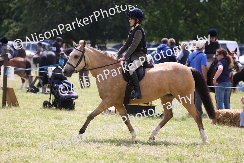20260614-1795 - Class 21 - Novice Working Hunter Pony