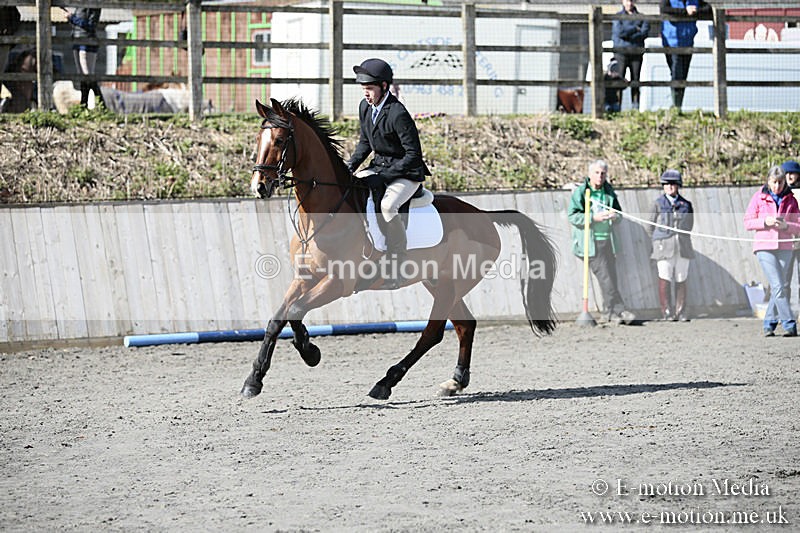 BVRC SJ 170319 366 - Bourne Valley Riding Club Showjumping 17/03/19