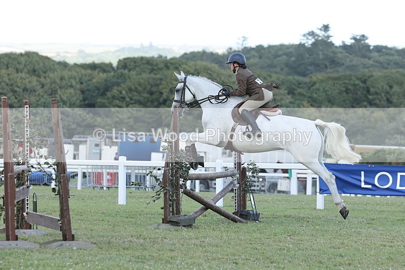 JPP_3627 - Class 24: Open Working Hunter