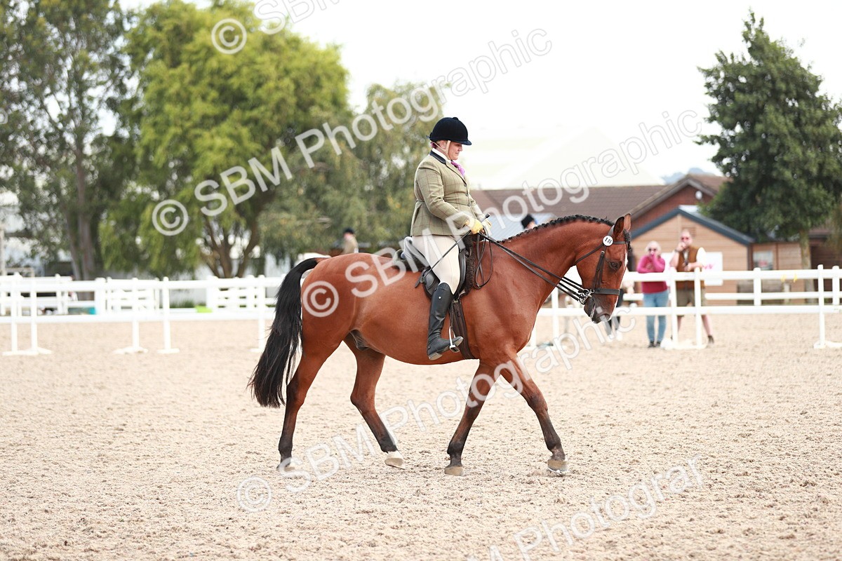 SBM_15530 - Class 213 Ridden Hunter -Large