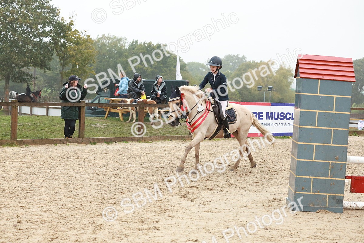 SBM_73649 - Supreme Championship Junior Pony 60cm & 65cm