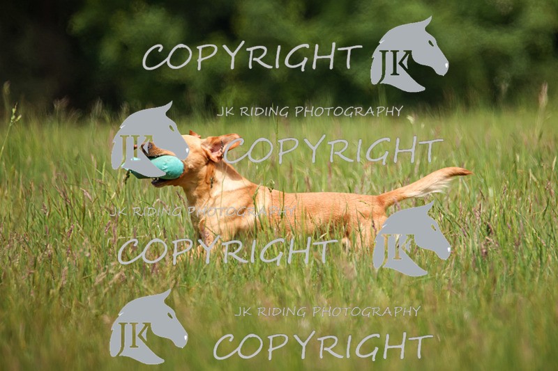 2R6A8601 - 34 Christopher