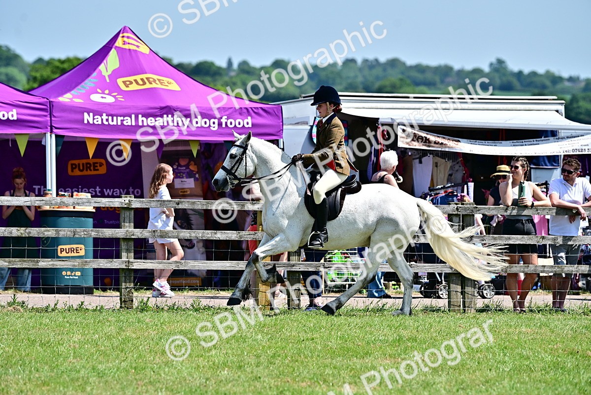 SBM_15385 - Class 95-97 - BSPS LHS Performance Ponies