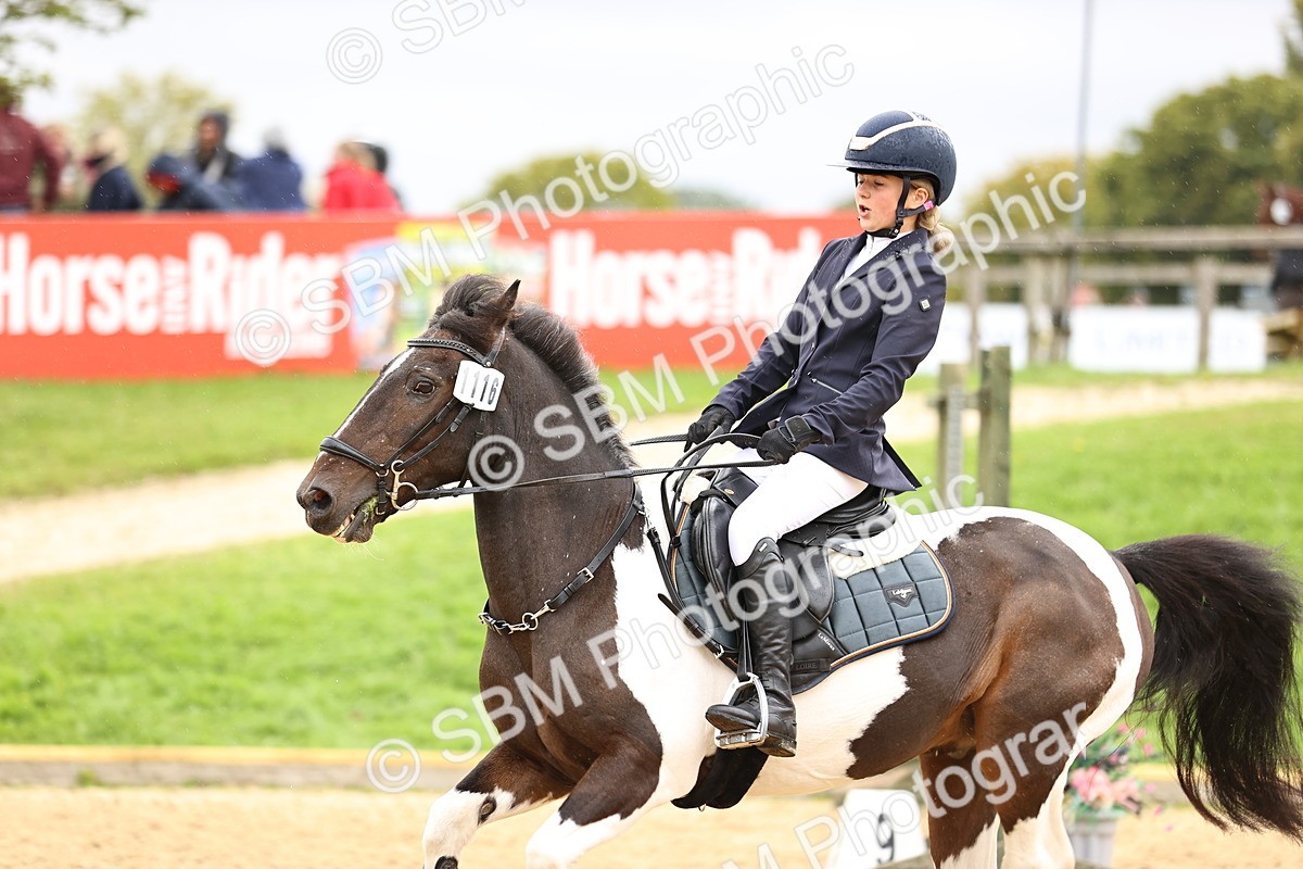 SBM_68914 - J18 - Junior Pony 85cm championship