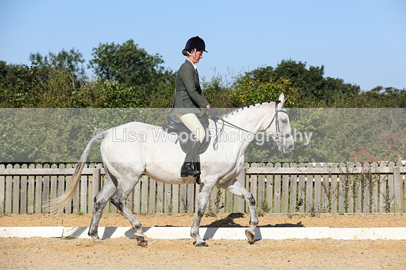 1X9A7730 - Class 9: Open Ridden Hunter
