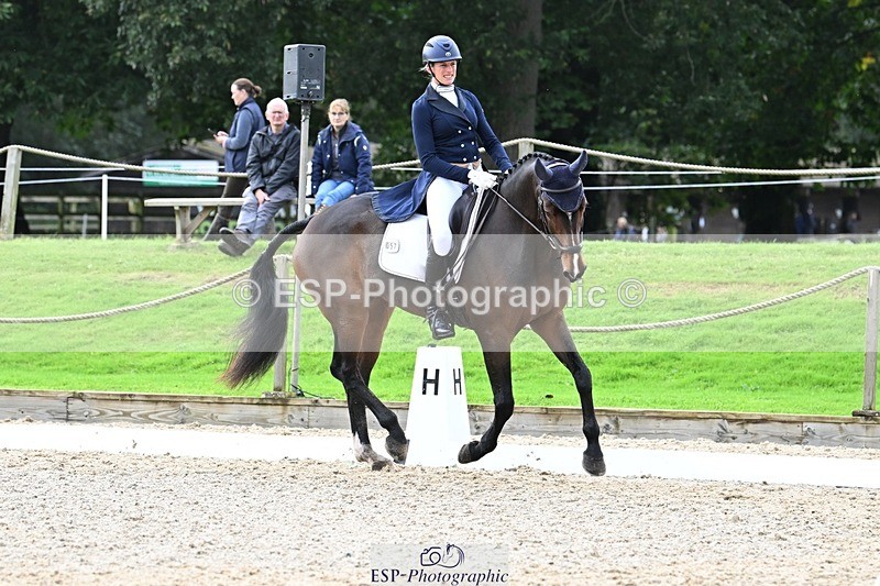 231019-145356-04310 - 057-OVERTON.TILANA'S.GOLD-Claire.Deuten-DR