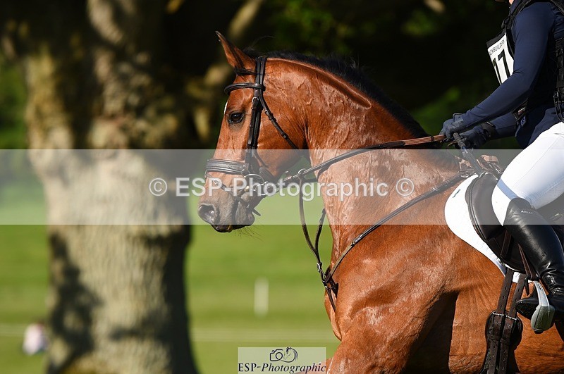 230527-181832-13798 - 177-ARGENTINO_BK-Dani_Evans-XC