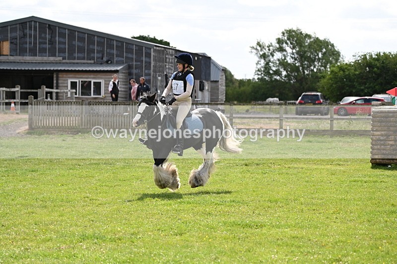 WJ6_2726 - Class 2 40cm