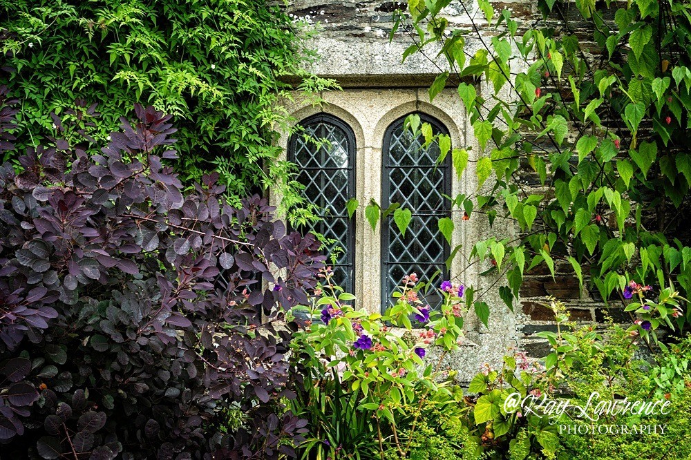 A Touch of Colour Cotehele-RLP35079 - Close to Home