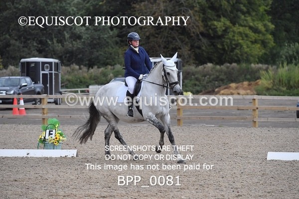 BPP_0081 - PRELIM 5