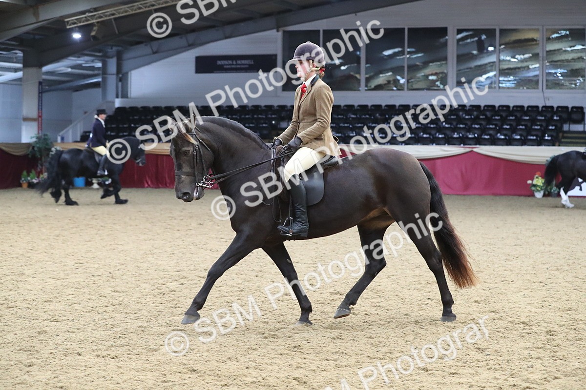 SBM_16368 - Class 502 M&M Ridden Supreme Final