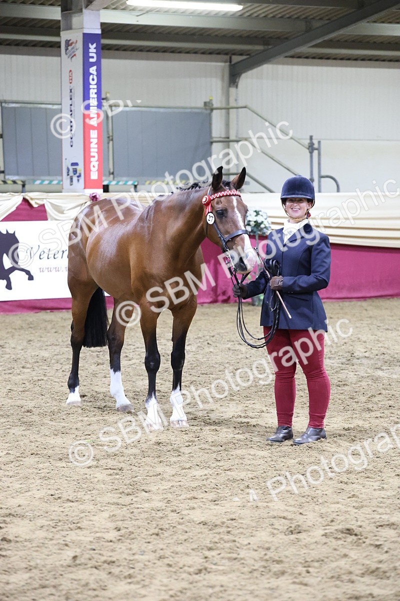 SBM_20659 - Class I - Ridden Pony Champ