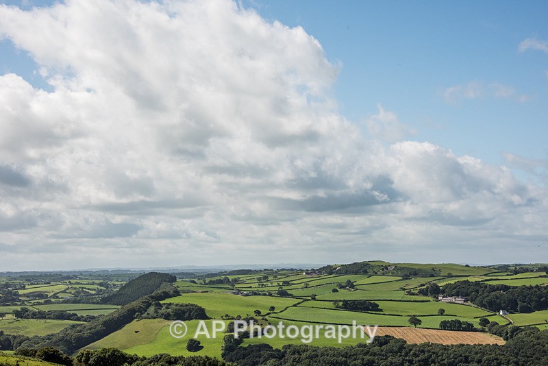 ACP_2483-2 - Rural Views