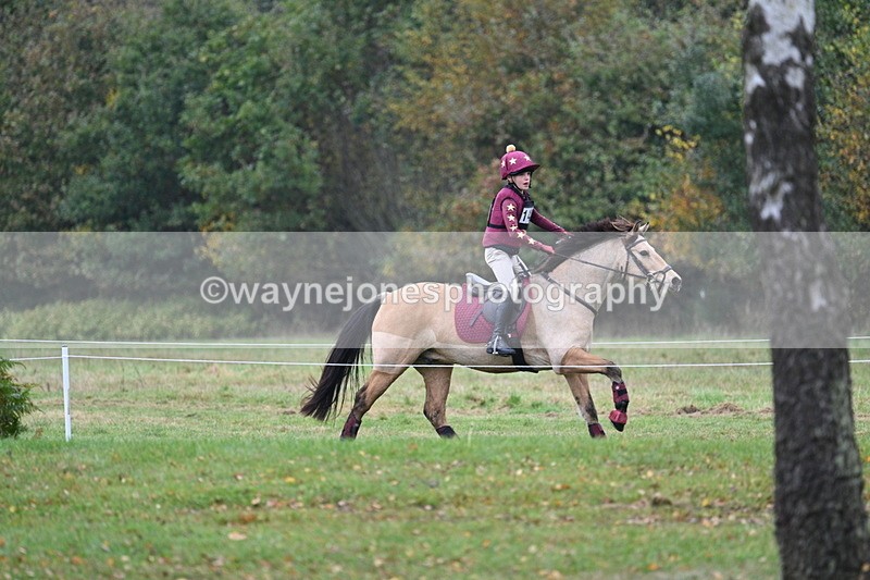 WJ7_1056 - 80cm Cam 2 Water Time 11:29 to 11:46