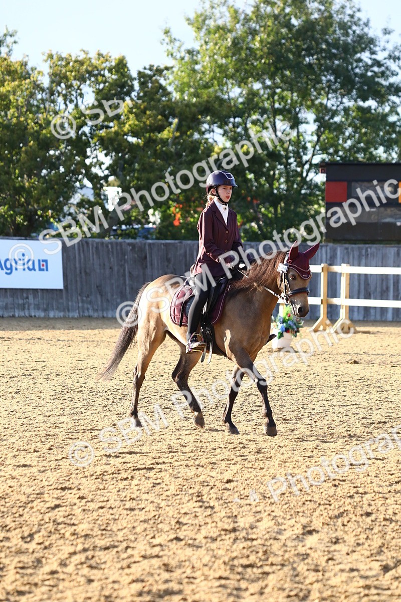 SBM_54497 - D25 - Junior Championship No1 & Elem 2