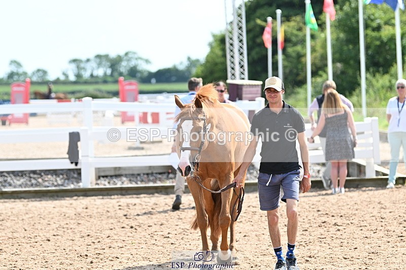 240717A-153352-02882 - Trot Up 3pm to 4pm