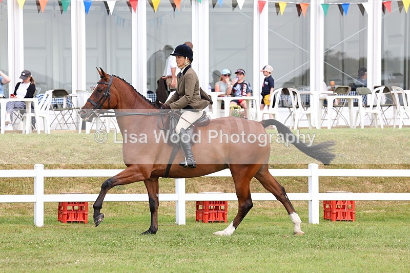 3E7A9326 - Class 4: Rising Star M/H Hunter